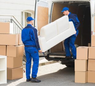 Safe Ship Moving Services