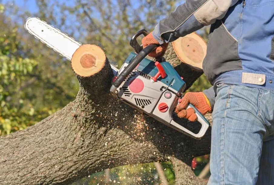 Trimming Tools