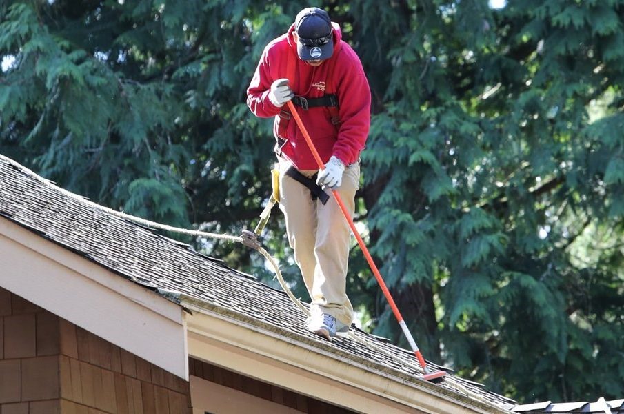 Roof Cleaning